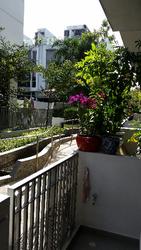 Charlton Villas (D19), Terrace #61623162